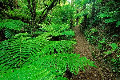 动作冒险游戏《Song of Iron》8月31日上架Steam  支持中文