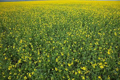 《喷射战士3》9月9日正式发售 全新实际演示欣赏